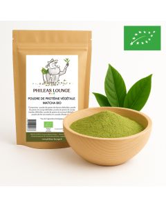 poudre de protéines végétales matcha biologique
